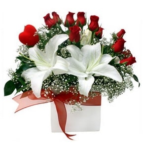 2 dal kazablanka 11 adet k�rm�z� g�l vazosu