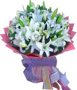 9 dal cazablanca g�rsel buketi