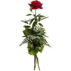 �i�ek sipari�i 1 adet k�rm�z� g�lden buket