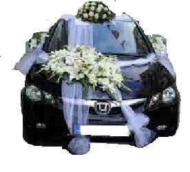 Ankara ift iekli dn gelin arabas sslemesi snnet arabas ssleme
