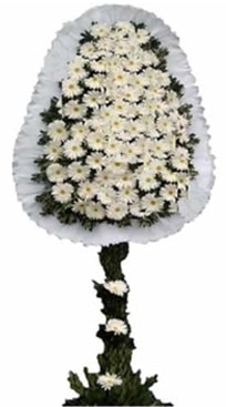 Ucuz Dn Nikah Al iei Tek Katl Ankara iekileri iekileri