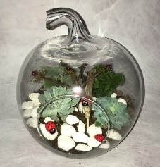 Kk terrarium elma 3 kakts Ankara iek maazas , ieki adresleri