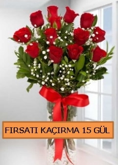 15 thal krmz gl byk bal orjinal Ankara Kzlay iek siparii sitesi