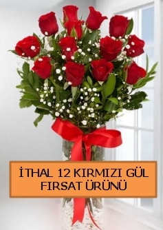 12 thal krmz gl byk bal orjinal Ankara Kzlay iek siparii sitesi