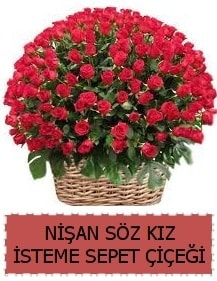 Kz isteme sz nian iei Sepeti 91 gll Ankara iek gnderme sitemiz gvenlidir