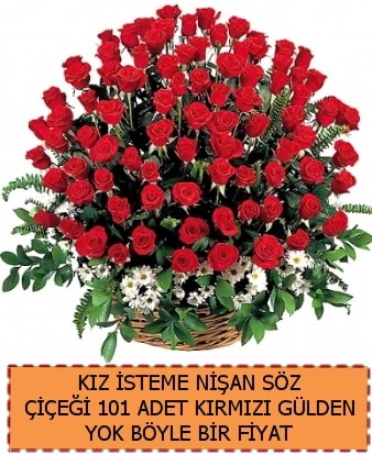 101 Gll sz nian kz isteme iei Ankara iek sat